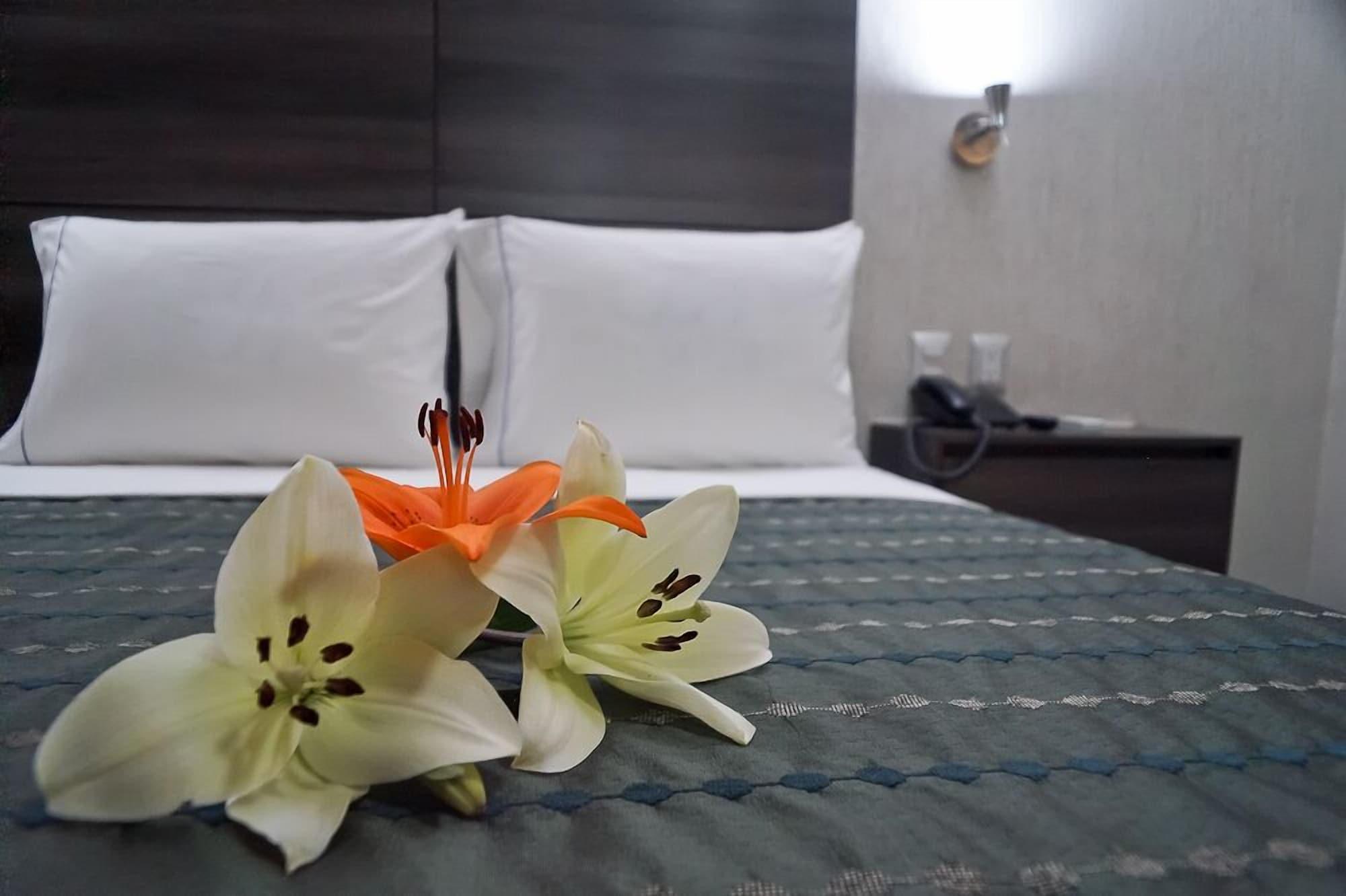 Hotel Expo Abastos Guadalajara Zewnętrze zdjęcie